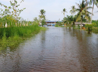 การประชุมติดตาม ... พารามิเตอร์รูปภาพ 10